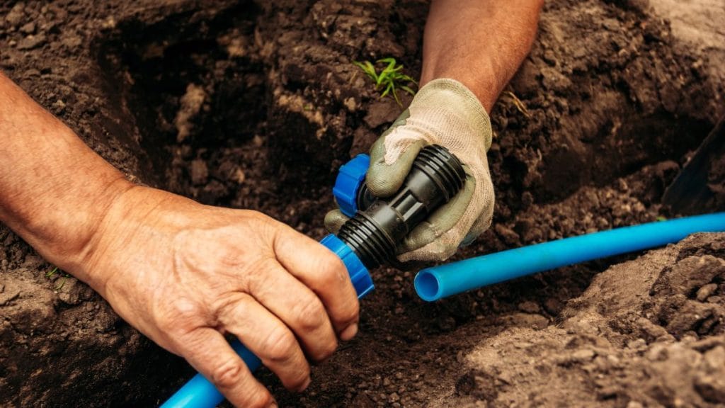 Ignoring Drainage Holes and Waterlogged Soil