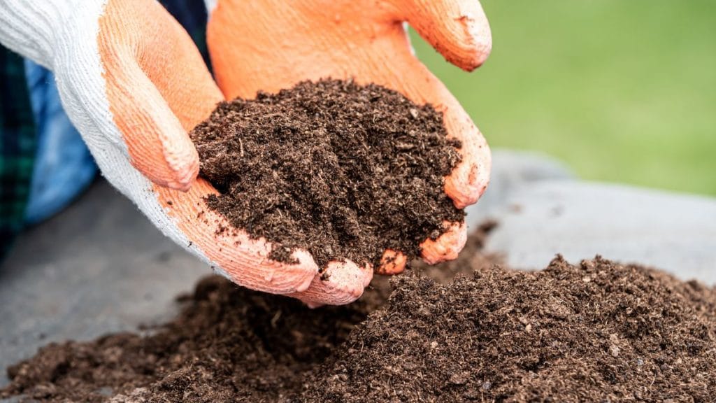 It adds organic matter to tired soil