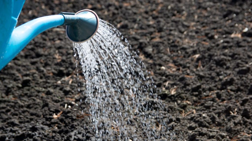Water the Area