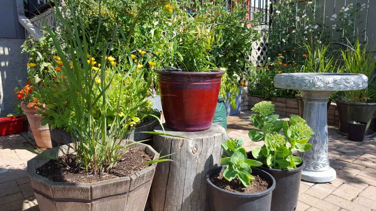 11 Corner Garden Ideas for Any Sun or Shade