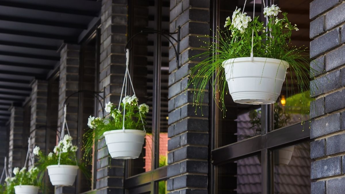 15 Hanging Basket Ideas for Balconies with Zero Floor Space