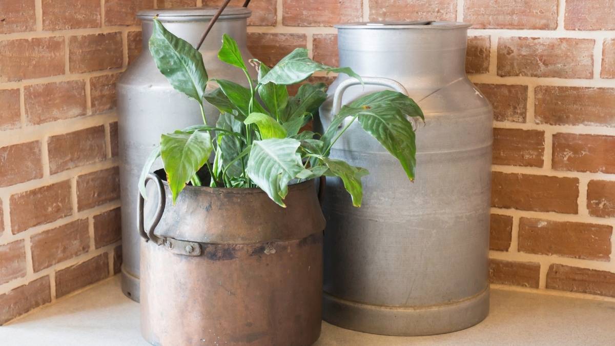 Advanced DIY Metal Milk Jug Projects