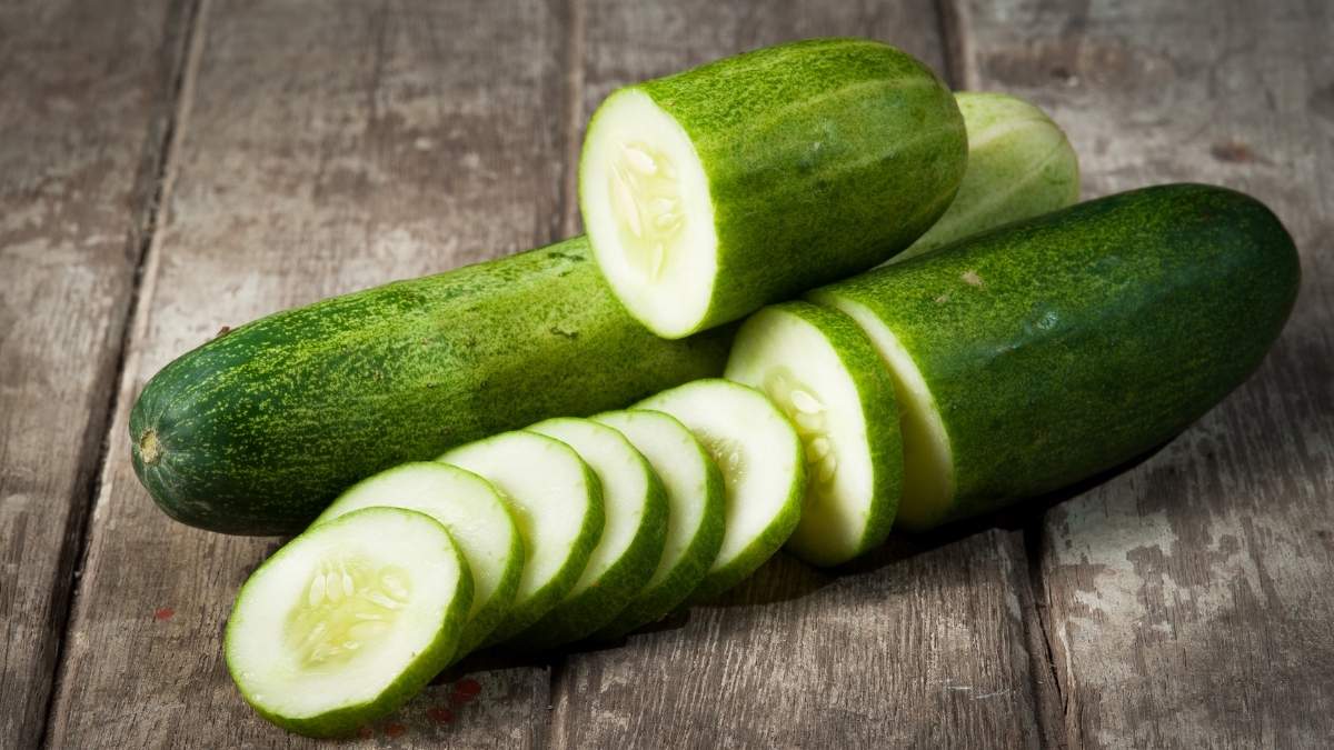 Armenian Cucumber - Cool Alternative