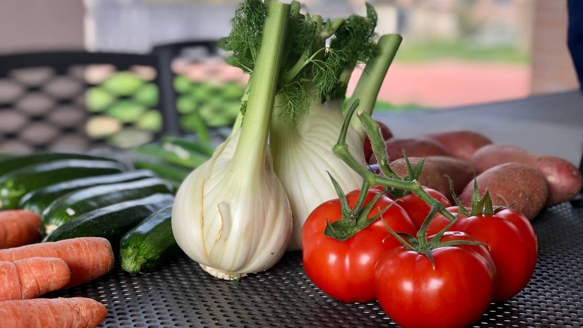 Best Heat-Tolerant Vegetables for Hot Climates
