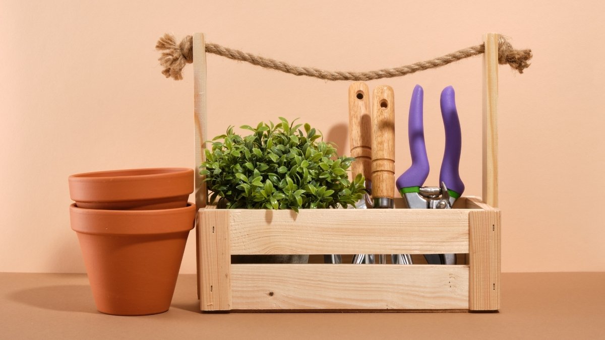 Essential Tools and Materials for DIY Planters