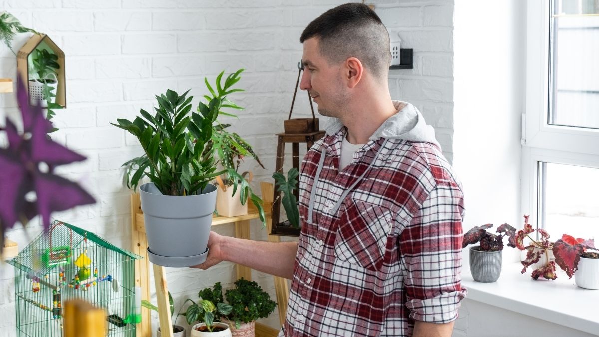 How to Grow Fresh Herbs Indoors All Winter Long