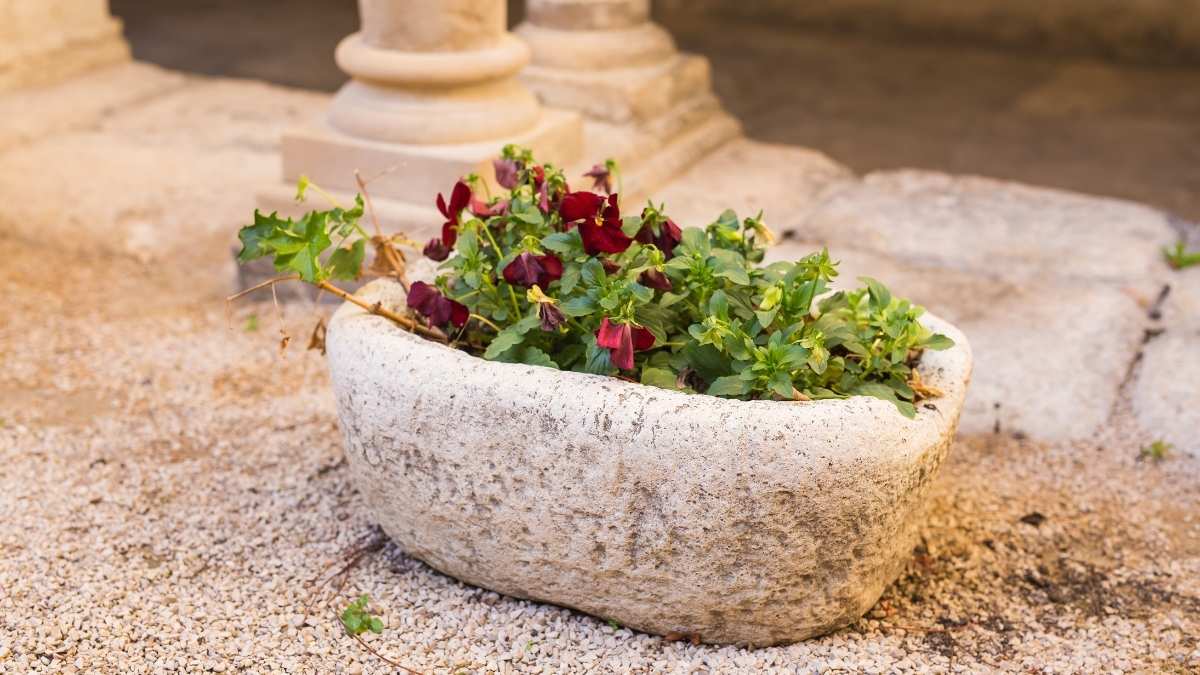 Hypertufa Trough Garden