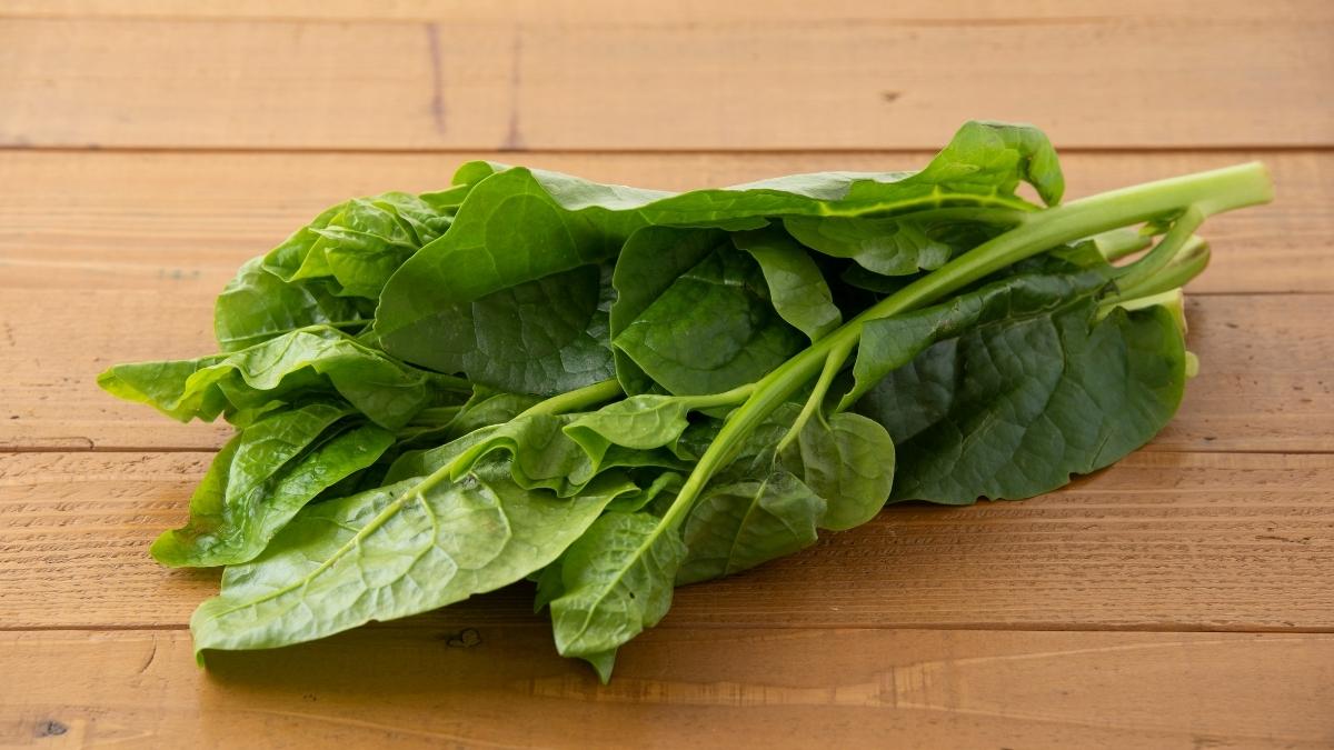 Malabar Spinach - Heat-Loving Greens