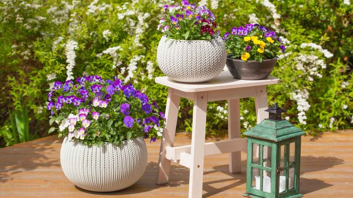 Potted Plant Arrangement Ideas for a Gorgeous Patio Garden