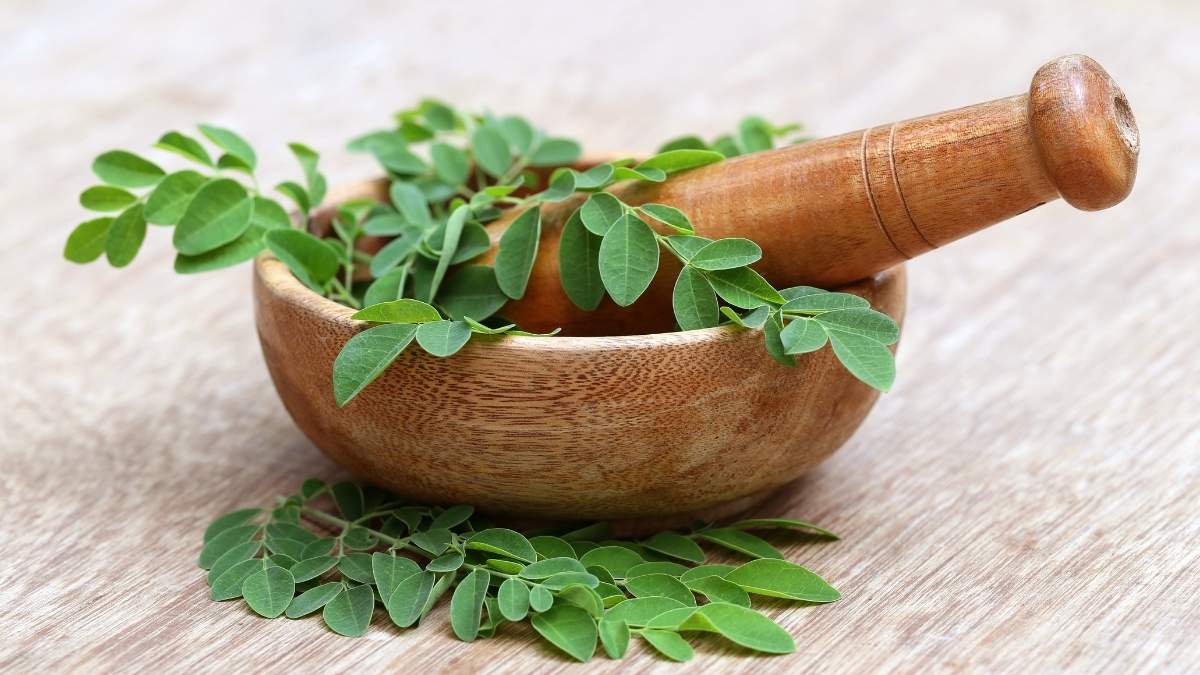 Moringa - The Miracle Tree