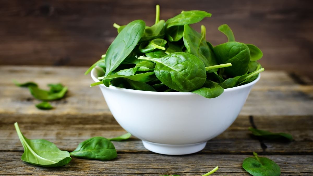 New Zealand Spinach - Summer Substitute