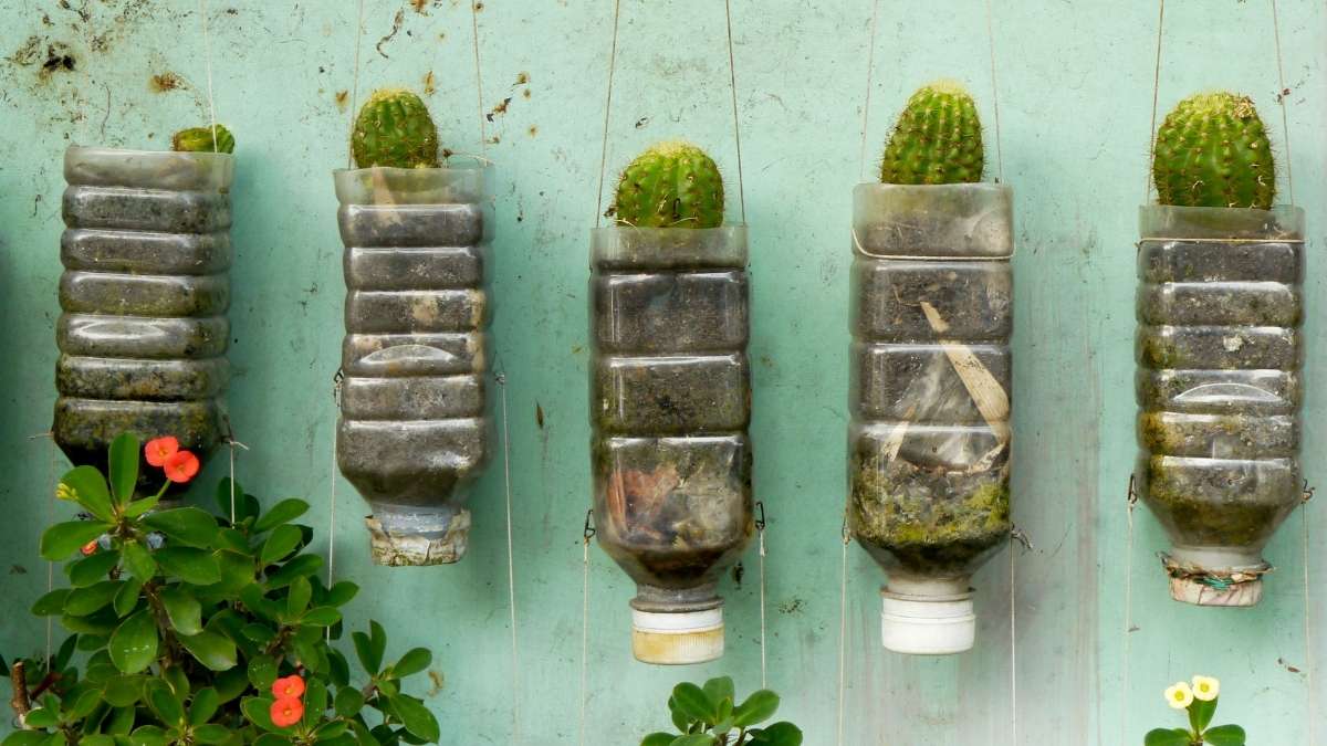 Plastic Bottle Vertical Garden
