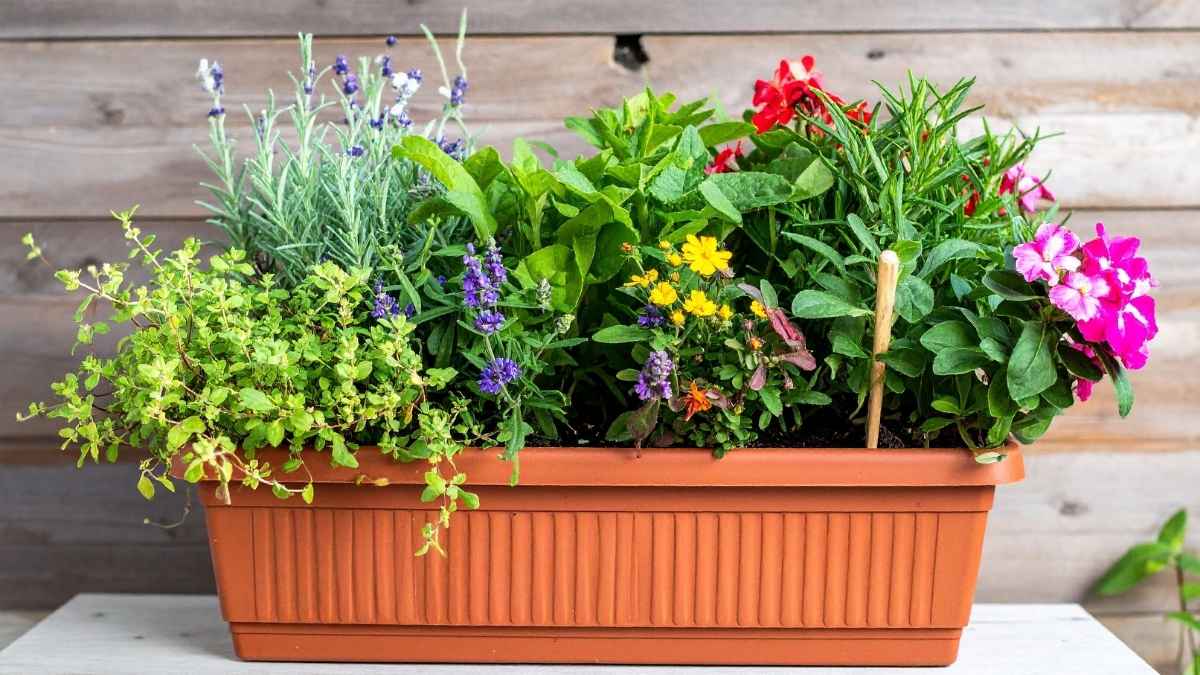 Railing Planter Boxes