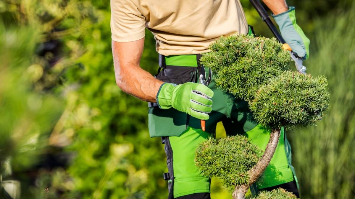 Smart Maintenance (seasonal checks, soil tests, pruning)