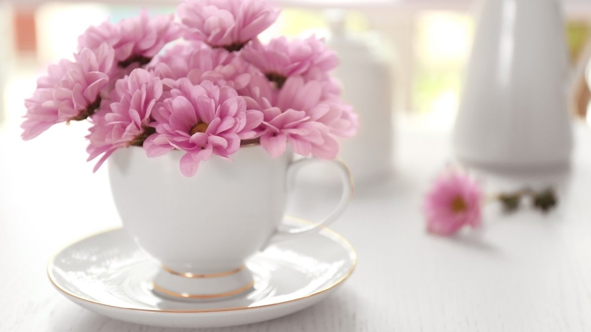 Teacup and Saucer Planters