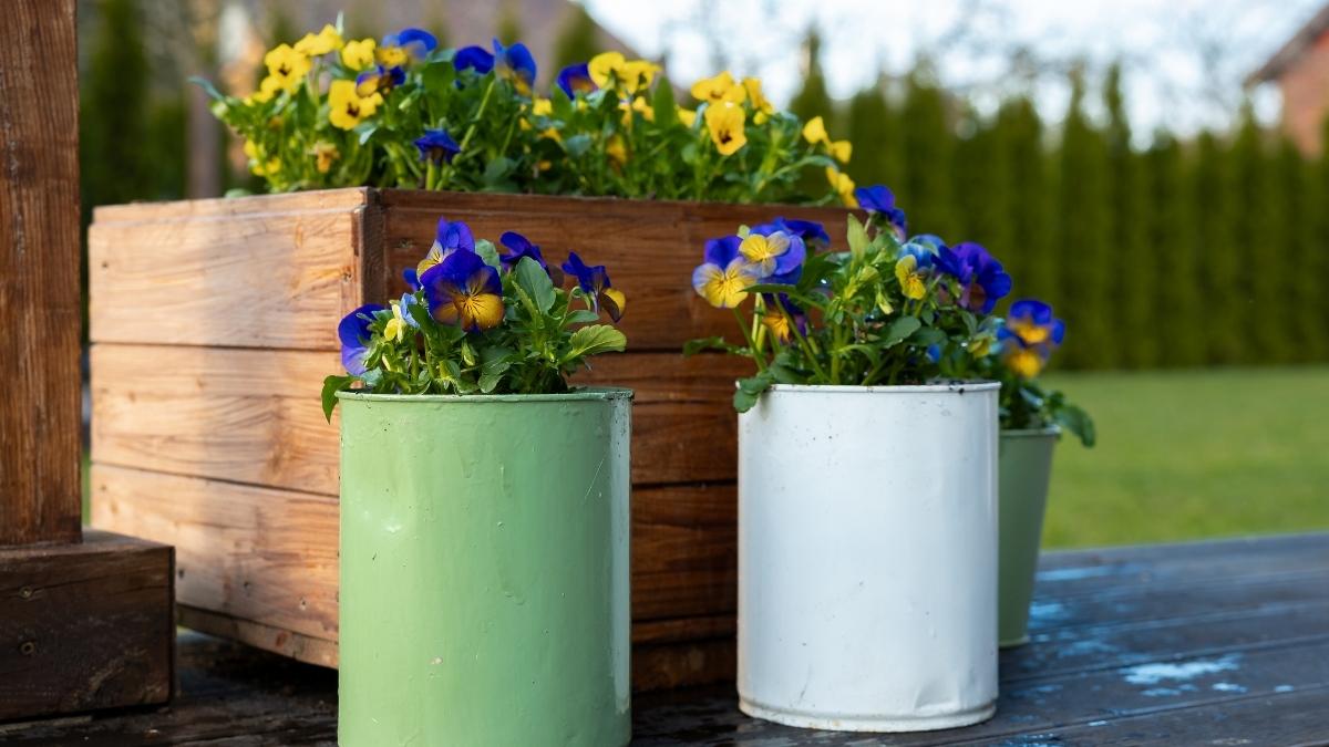 Tin Can Tiered Garden