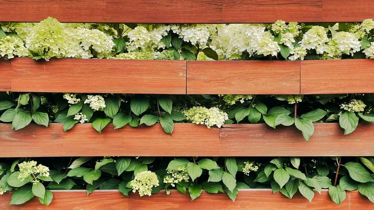 Vertical Pallet Garden