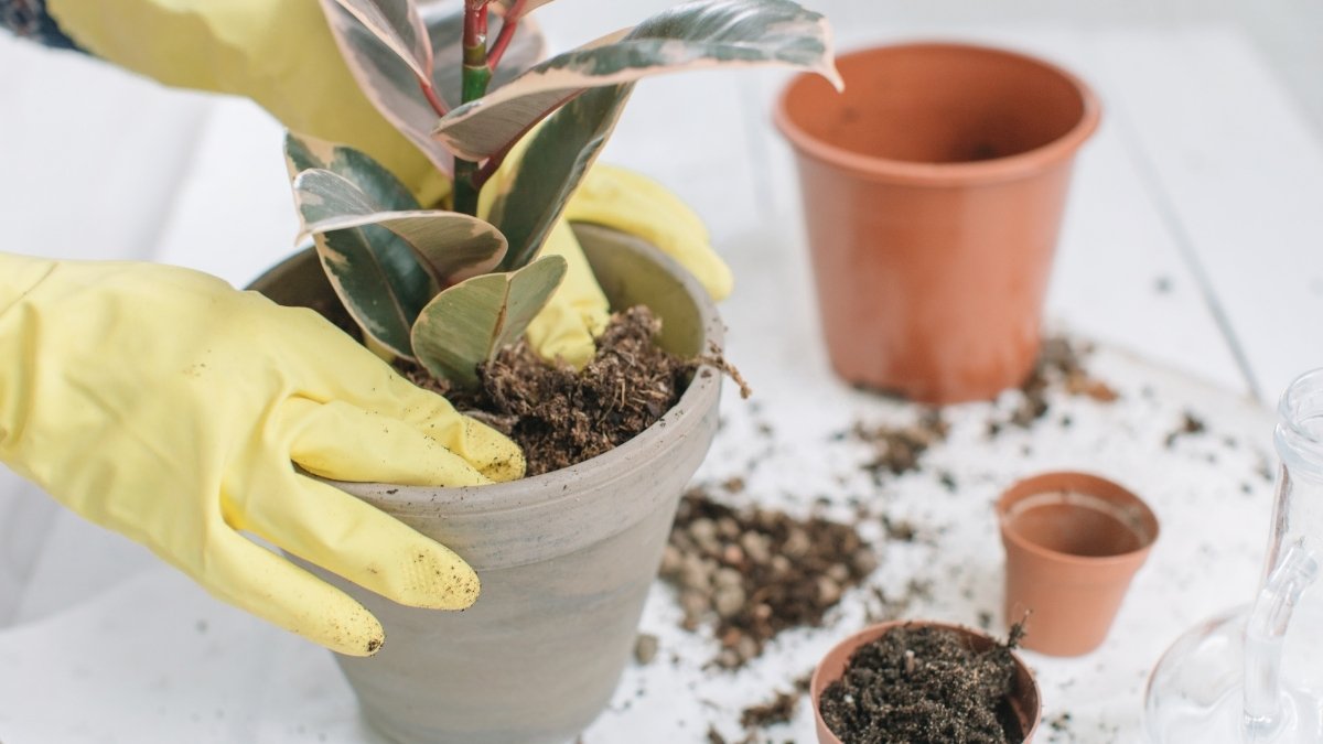 Why Make Your Own Flower Pots?