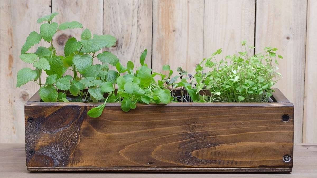 Wooden Crate Planters
